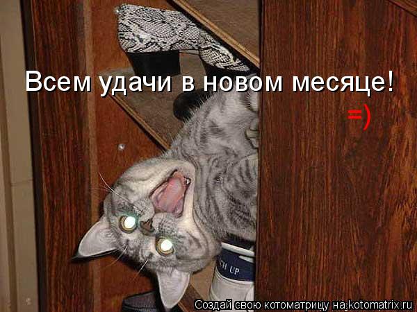 Всем удачи в новом месяце! =)... Котоматрица: Всем удачи в новом месяце! =)