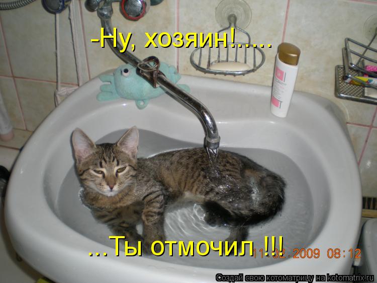 -Ну, хозяин!..... ...Ты отмочил !!!... Котоматрица: -Ну, хозяин!..... ...Ты отмочил !!!