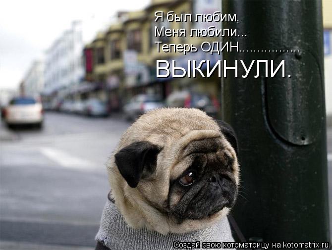 Я был любим, Меня любили... Теперь ОДИН................. ВЫКИНУЛИ.... Котоматрица: Я был любим, Меня любили... Теперь ОДИН................. ВЫКИНУЛИ.