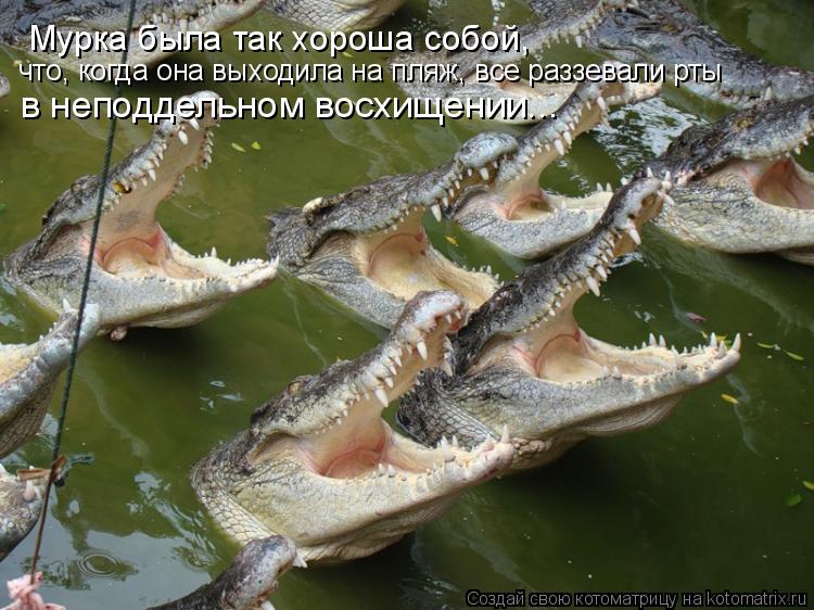 Мурка была так хороша собой, что, когда она выходила на пляж, все раззевали рты в неподдельном восхи... Котоматрица: Мурка была так хороша собой, что, когда она выходила на пляж, все раззевали рты в неподдельном восхищении...