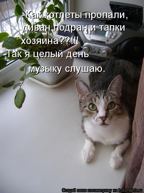 -Как котлеты пропали, диван подран и тапки хозяина??!!! Так я целый день музыку слушаю.... Котоматрица: -Как котлеты пропали, диван подран и тапки хозяина??!!! Так я целый день музыку слушаю.