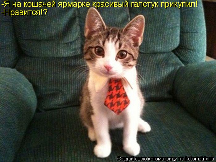 -Я на кошачей ярмарке красивый галстук прикупил! -Нравится!?... Котоматрица: -Я на кошачей ярмарке красивый галстук прикупил! -Нравится!?