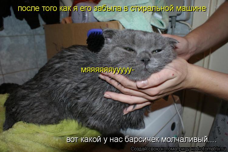 вот какой у нас барсичек молчаливый.... после того как я его забыла в стиральной машине мяяяяяяууууу-... Котоматрица: вот какой у нас барсичек молчаливый.... после того как я его забыла в стиральной машине мяяяяяяууууу-