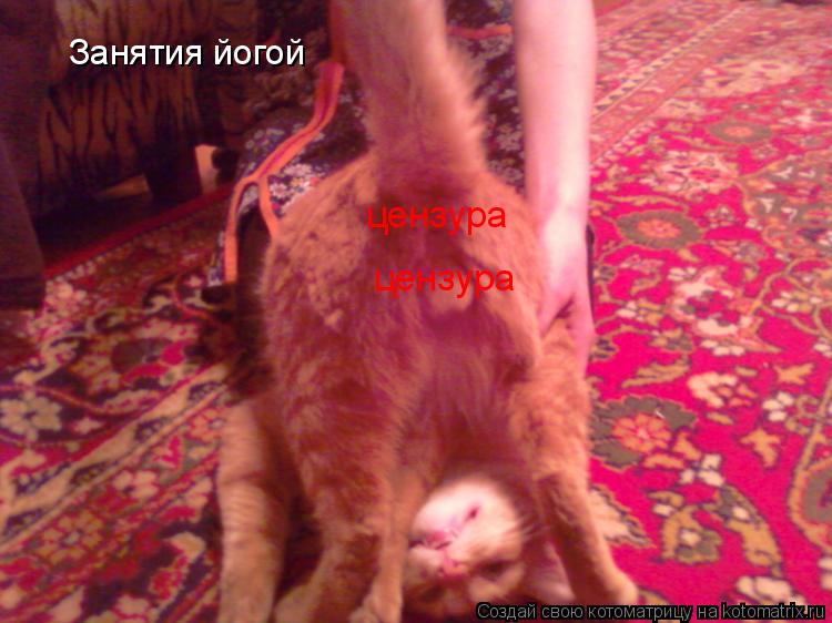 Занятия йогой цензура цензура... Котоматрица: Занятия йогой цензура цензура