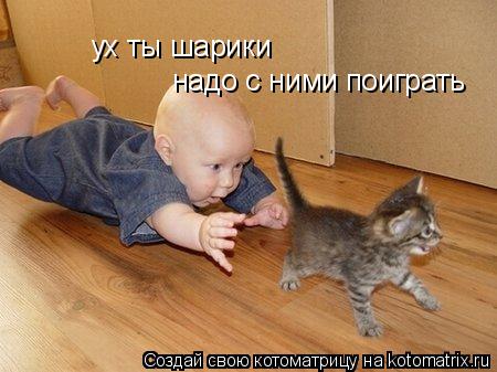 ух ты шарики надо с ними поиграть... Котоматрица: ух ты шарики надо с ними поиграть