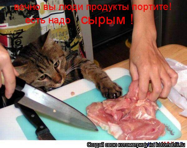 Котоматрица: вечно вы люди продукты портите! есть надо  сырым !