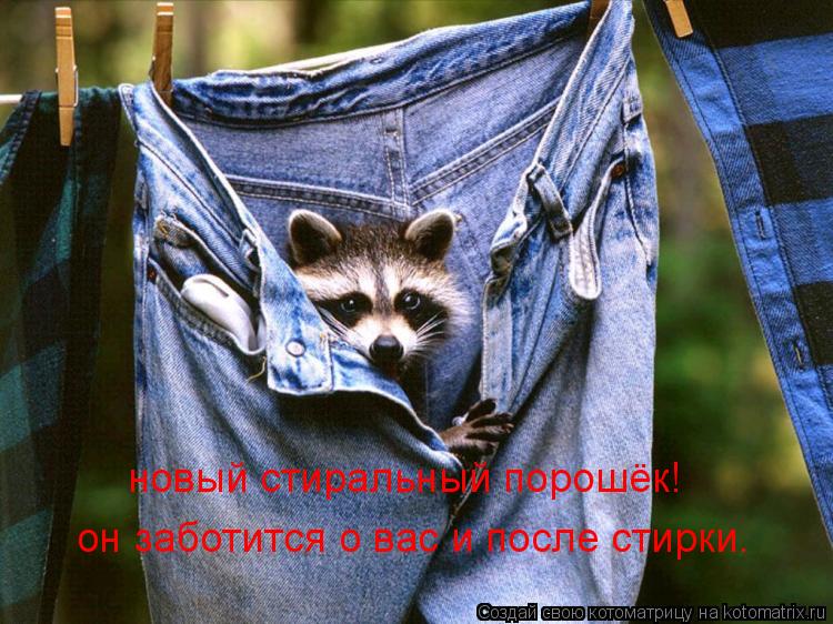 новый стиральный порошёк! он заботится о вас и после стирки.... Котоматрица: новый стиральный порошёк! он заботится о вас и после стирки.