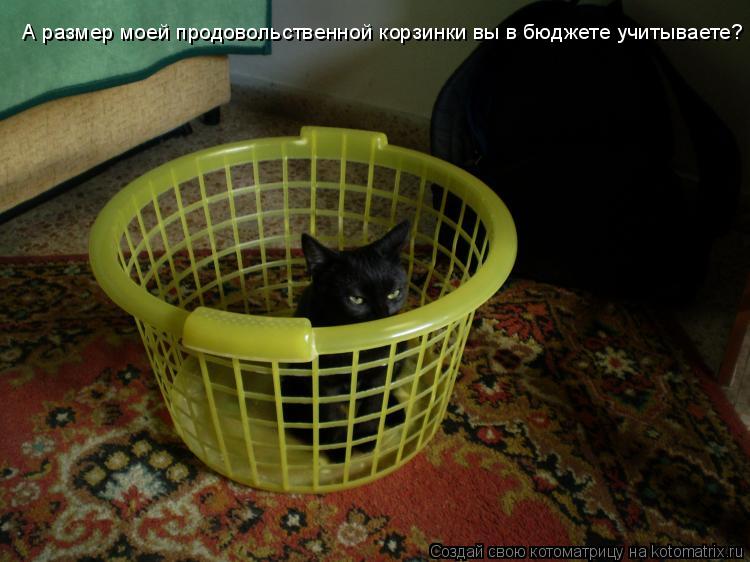 Котоматрица: А размер моей продовольственной корзинки вы в бюджете учитываете?