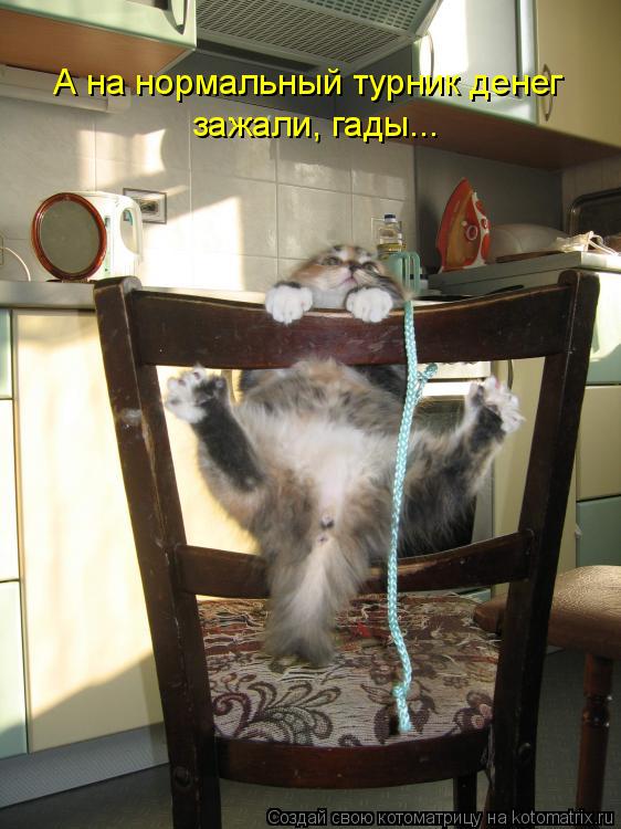 А на нормальный турник денег зажали, гады...... Котоматрица: А на нормальный турник денег зажали, гады...