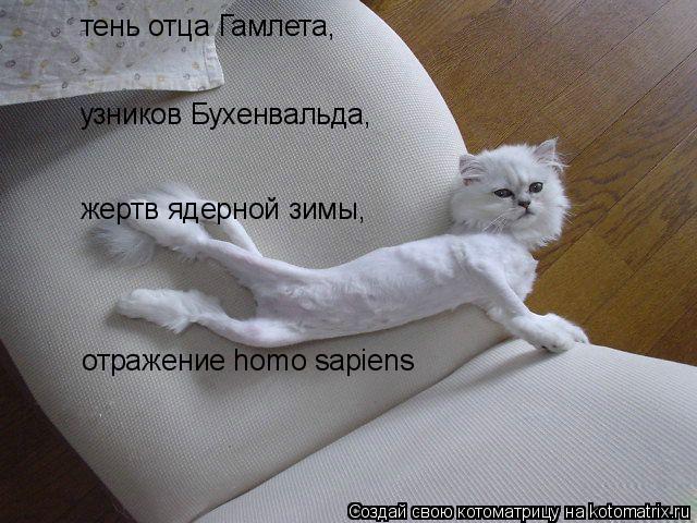 тень отца Гамлета, узников Бухенвальда, жертв ядерной зимы, отражение homo sapiens... Котоматрица: тень отца Гамлета, узников Бухенвальда, жертв ядерной зимы, отражение homo sapiens