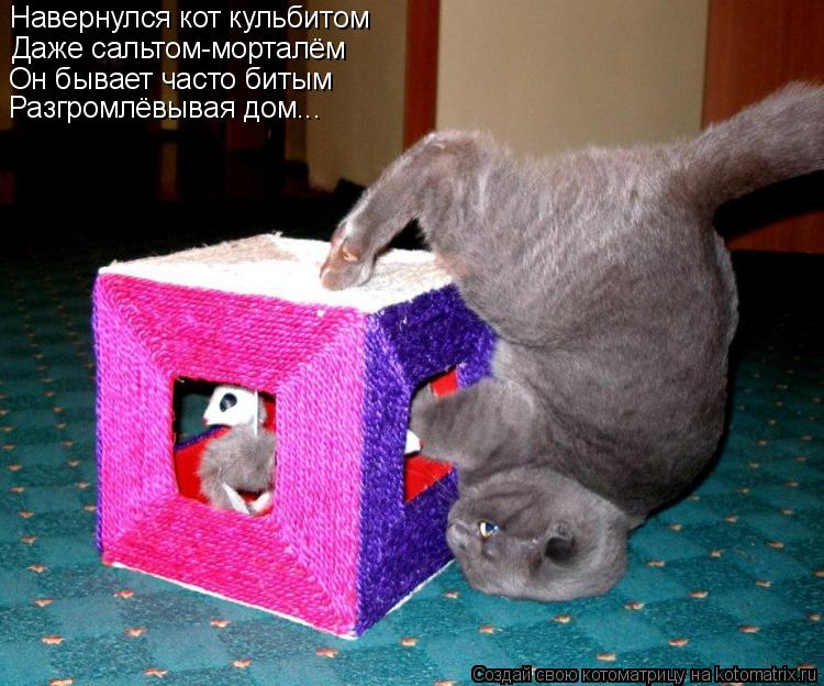 Навернулся кот кульбитом Даже сальтом-морталём Он бывает часто битым Разгромлёвывая дом...... Котоматрица: Навернулся кот кульбитом Даже сальтом-морталём Он бывает часто битым Разгромлёвывая дом...