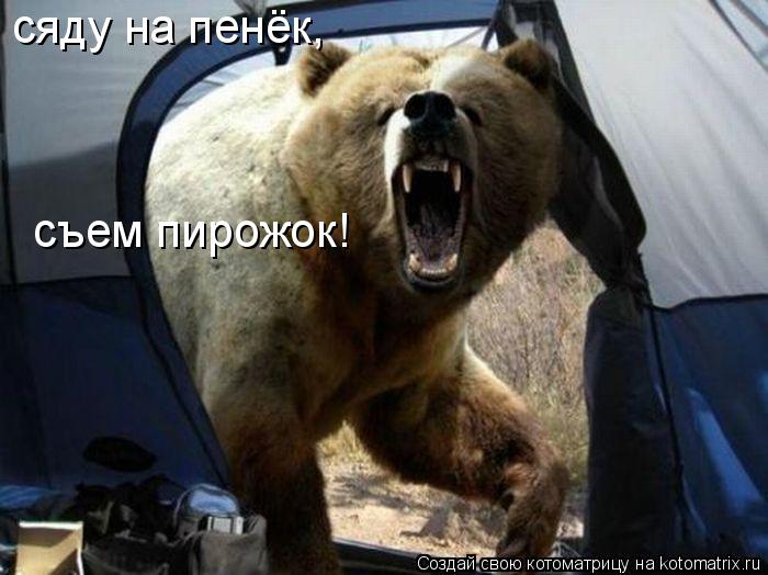сяду на пенёк, съем пирожок!... Котоматрица: сяду на пенёк, съем пирожок!