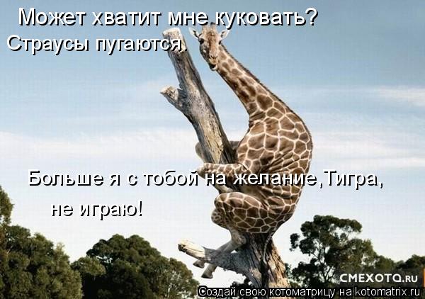 Может хватит мне куковать? Страусы пугаются. Больше я с тобой на желание,Тигра, не играю!... Котоматрица: Может хватит мне куковать? Страусы пугаются. Больше я с тобой на желание,Тигра, не играю!