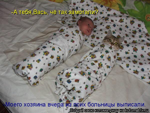 -Моего хозяина вчера из псих больницы выписали. -А тебя,Вась, чё так замотали?... Котоматрица: -Моего хозяина вчера из псих больницы выписали. -А тебя,Вась, чё так замотали?