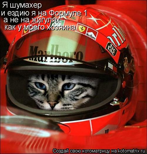 Я шумахер и ездию я на Формуле 1 а не на жигулях как у моего хозяина... Котоматрица: Я шумахер и ездию я на Формуле 1 а не на жигулях как у моего хозяина