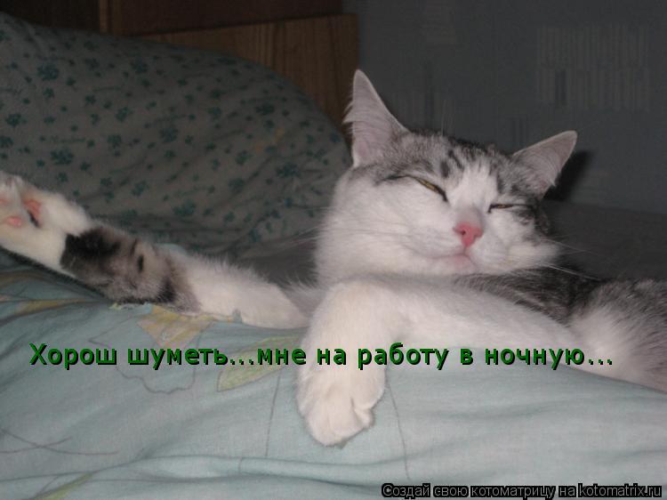 Хорош шуметь... Хорош шуметь...мне на работу в ночную...... Котоматрица: Хорош шуметь... Хорош шуметь...мне на работу в ночную...