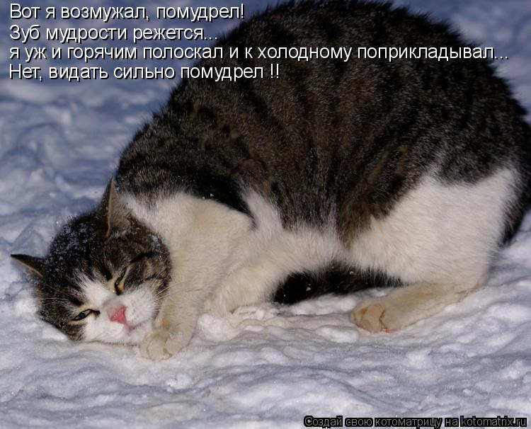 Вот я возмужал, помудрел! Зуб мудрости режется... я уж и горячим полоскал и к холодному поприкладывал... Котоматрица: Вот я возмужал, помудрел! Зуб мудрости режется... я уж и горячим полоскал и к холодному поприкладывал... Нет, видать сильно помудрел !!