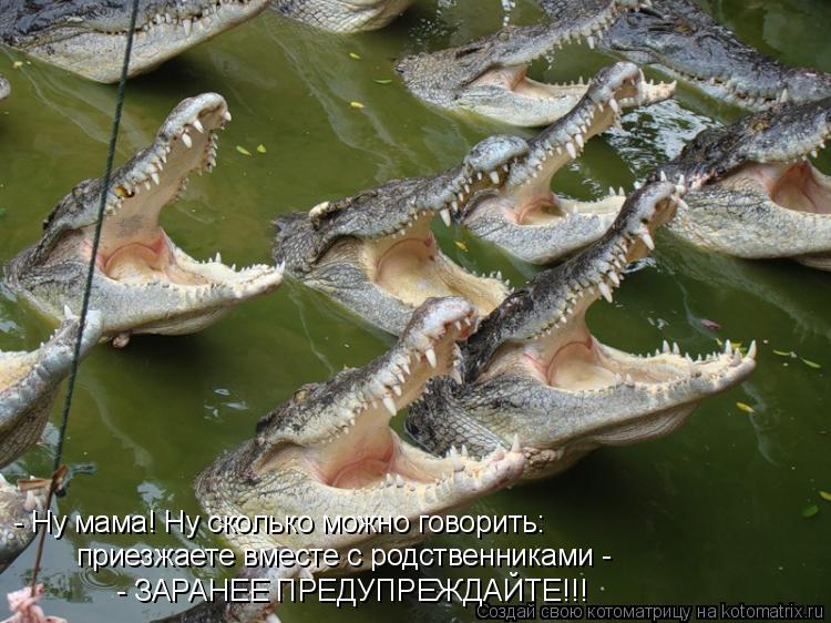 - Ну мама! Ну сколько можно говорить: приезжаете вместе с родственниками - - ЗАРАНЕЕ ПРЕДУПРЕЖДАЙТЕ!... Котоматрица: - Ну мама! Ну сколько можно говорить: приезжаете вместе с родственниками - - ЗАРАНЕЕ ПРЕДУПРЕЖДАЙТЕ!!!