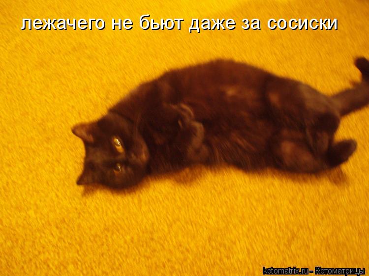 лежачего не бьют даже за сосиски... Котоматрица: лежачего не бьют даже за сосиски