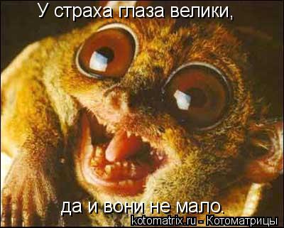 У страха глаза велики, да и вони не мало.... Котоматрица: У страха глаза велики, да и вони не мало.