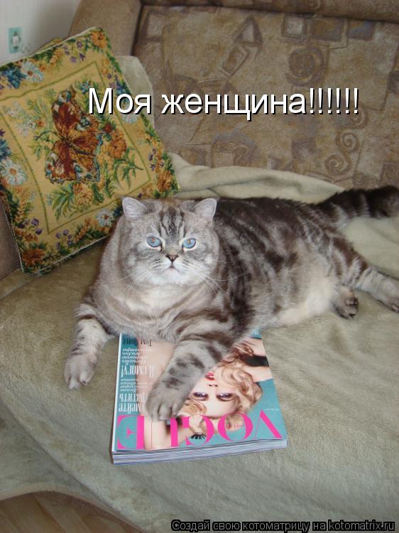 Моя женщина!!!!!!... Котоматрица: Моя женщина!!!!!!