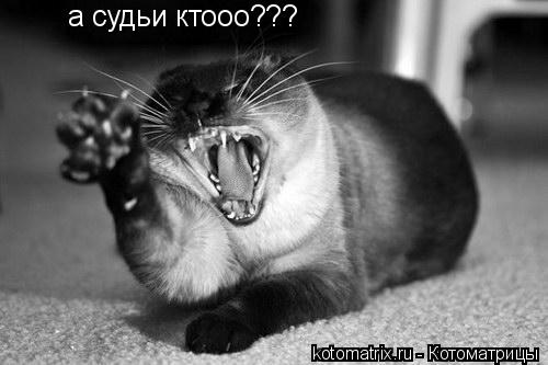 а судьи ктооо???... Котоматрица: а судьи ктооо???