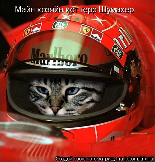 Майн хозяйн ист герр Шумахер... Котоматрица: Майн хозяйн ист герр Шумахер