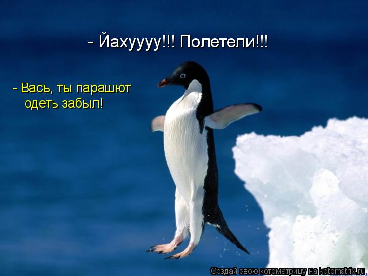 - Йахуууу!!! Полетели!!! - Вась, ты парашют одеть забыл!... Котоматрица: - Йахуууу!!! Полетели!!! - Вась, ты парашют одеть забыл!