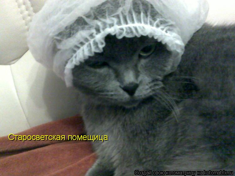 Старосветская помещица... Котоматрица: Старосветская помещица