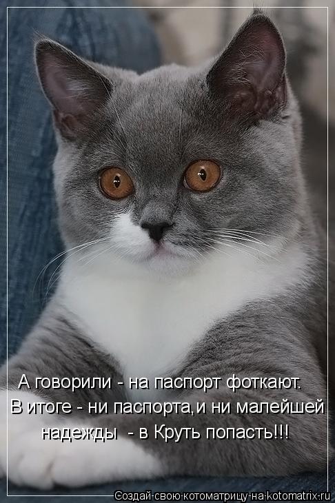 А говорили - на паспорт фоткают. В итоге - ни паспорта,и ни малейшей надежды - в Круть попасть!!!... Котоматрица: А говорили - на паспорт фоткают. В итоге - ни паспорта,и ни малейшей надежды - в Круть попасть!!!