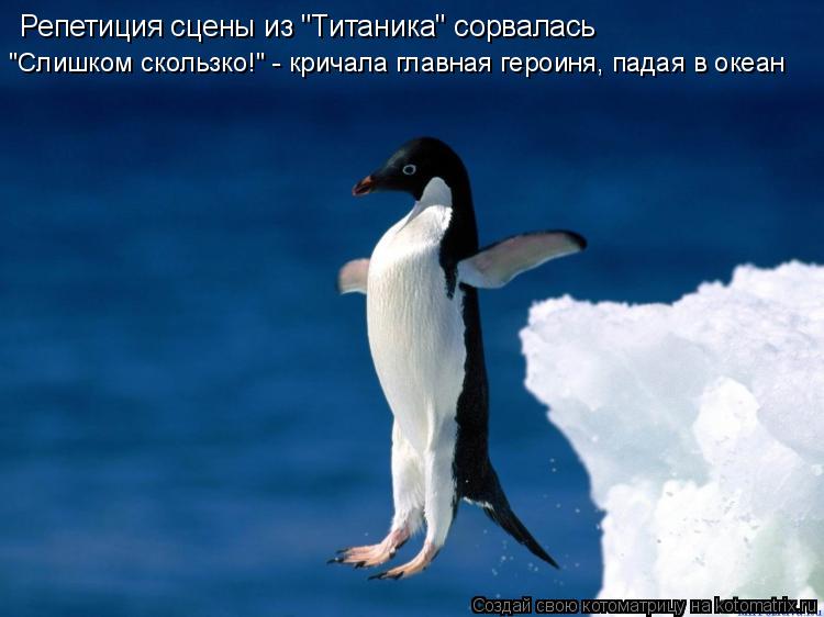 Репетиция сцены из "Титаника" сорвалась "Слишком скользко!" - кричала главная героиня, падая в океан... Котоматрица: Репетиция сцены из "Титаника" сорвалась "Слишком скользко!" - кричала главная героиня, падая в океан