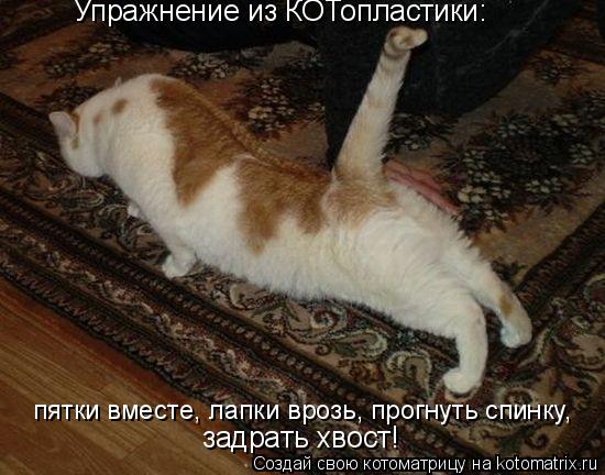 Упражнение из КОТопластики: пятки вместе, лапки врозь, прогнуть спинку, задрать хвост!... Котоматрица: Упражнение из КОТопластики: пятки вместе, лапки врозь, прогнуть спинку, задрать хвост!