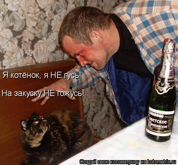 Я котёнок, я НЕ гусь! На закуску НЕ гожусь!... Котоматрица: Я котёнок, я НЕ гусь! На закуску НЕ гожусь!