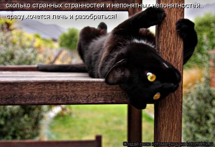 сколько странных странностей и непонятных непонятностей.. сразу хочется лечь и разобраться!... Котоматрица: сколько странных странностей и непонятных непонятностей.. сразу хочется лечь и разобраться!