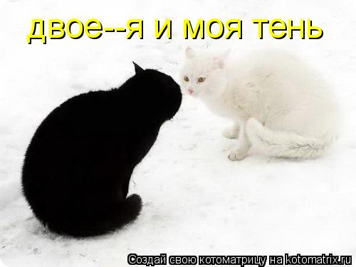 двое--я и моя тень... Котоматрица: двое--я и моя тень