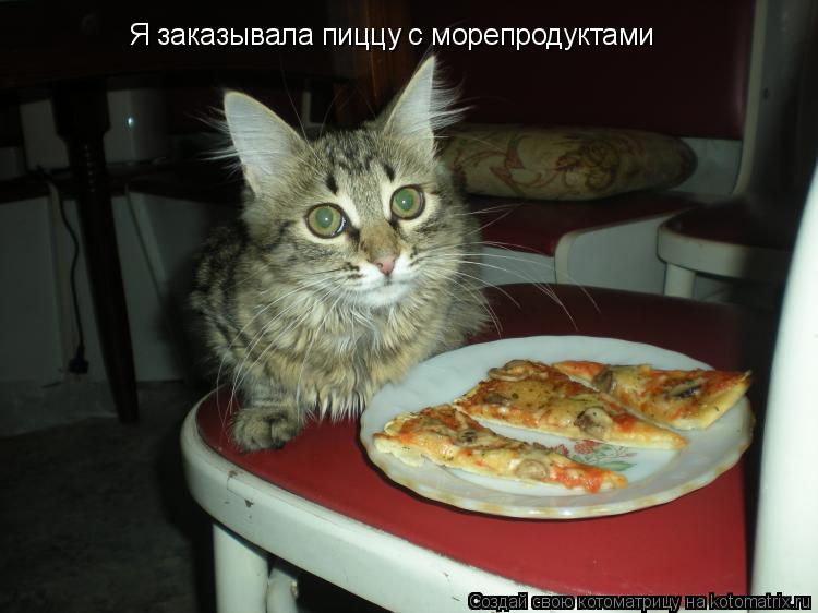 Я заказывала пиццу с морепродуктами... Котоматрица: Я заказывала пиццу с морепродуктами