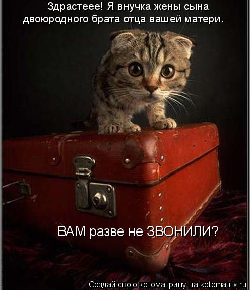 Котоматрица: Здрастеее! Я внучка жены сына  двоюродного брата отца вашей матери.  ВАМ разве не ЗВОНИЛИ?