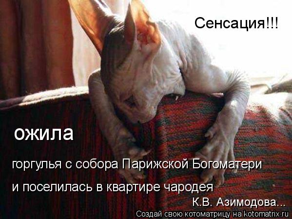 ожила Сенсация!!! К.В. Азимодова... и поселилась в квартире чародея горгулья с собора Парижской Богом... Котоматрица: ожила Сенсация!!! К.В. Азимодова... и поселилась в квартире чародея горгулья с собора Парижской Богоматери