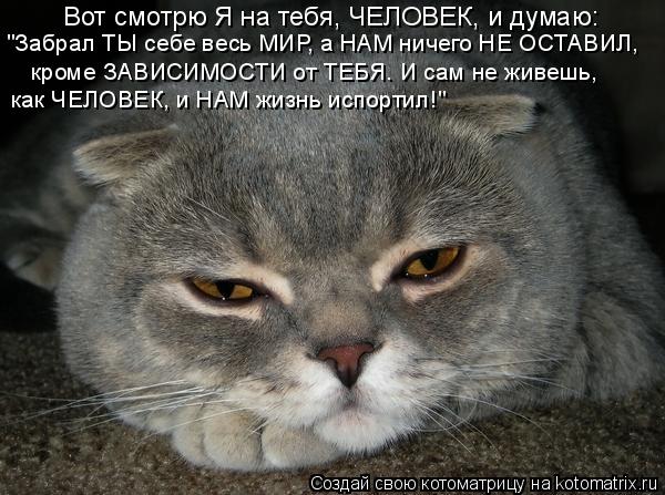 Вот смотрю Я на тебя, ЧЕЛОВЕК, и думаю: "Забрал ТЫ себе весь МИР, а НАМ ничего НЕ ОСТАВИЛ, кроме ЗАВИ... Котоматрица: Вот смотрю Я на тебя, ЧЕЛОВЕК, и думаю: "Забрал ТЫ себе весь МИР, а НАМ ничего НЕ ОСТАВИЛ, кроме ЗАВИСИМОСТИ от ТЕБЯ. И сам не живешь, как ЧЕЛОВЕ