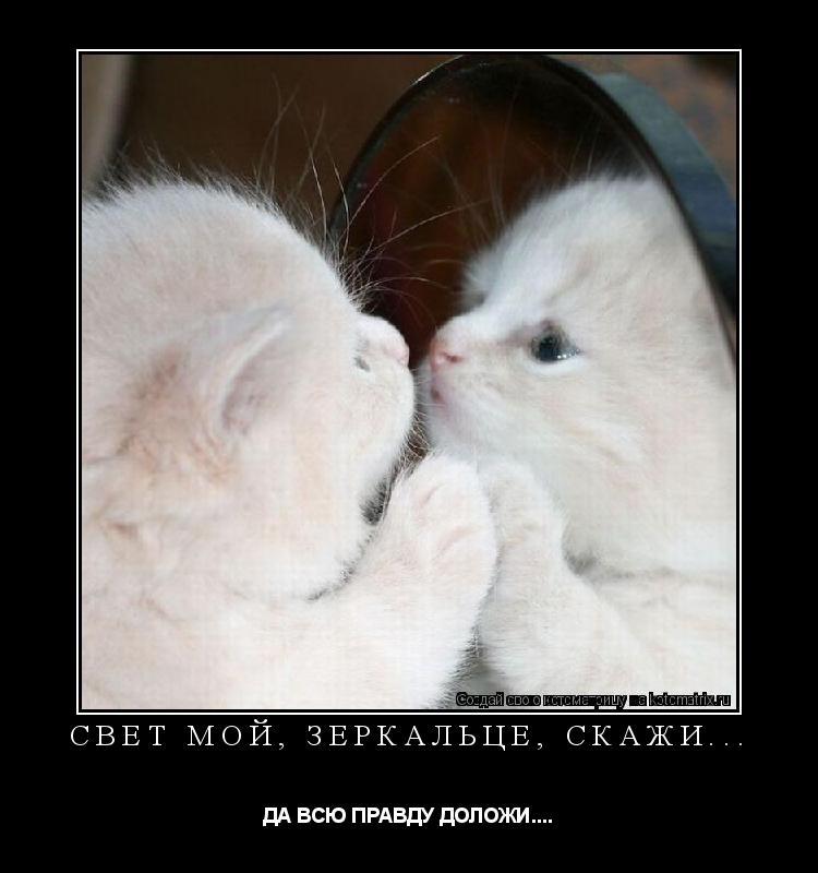 СВЕТ МОЙ, ЗЕРКАЛЬЦЕ, СКАЖИ... ДА ВСЮ ПРАВДУ ДОЛОЖИ....... Котоматрица: СВЕТ МОЙ, ЗЕРКАЛЬЦЕ, СКАЖИ... ДА ВСЮ ПРАВДУ ДОЛОЖИ....