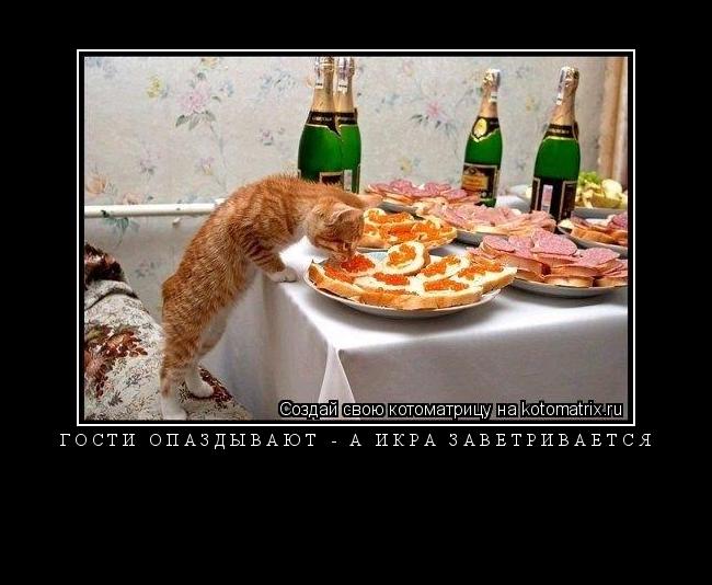 ГОСТИ ОПАЗДЫВАЮТ - А ИКРА ЗАВЕТРИВАЕТСЯ ... Котоматрица: ГОСТИ ОПАЗДЫВАЮТ - А ИКРА ЗАВЕТРИВАЕТСЯ