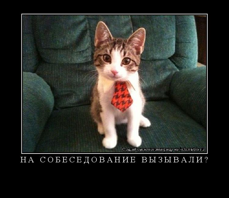 НА СОБЕСЕДОВАНИЕ ВЫЗЫВАЛИ? ... Котоматрица: НА СОБЕСЕДОВАНИЕ ВЫЗЫВАЛИ?