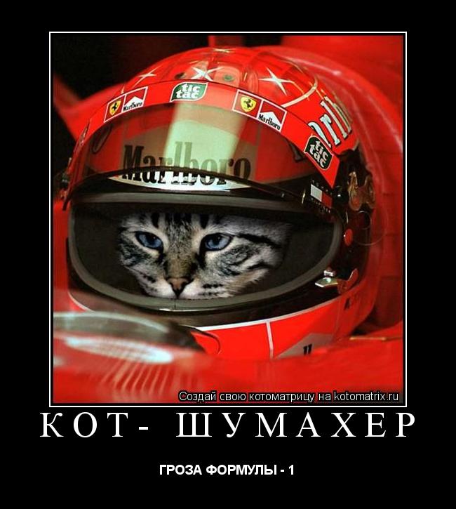 КОТ- ШУМАХЕР ГРОЗА ФОРМУЛЫ - 1... Котоматрица: КОТ- ШУМАХЕР ГРОЗА ФОРМУЛЫ - 1