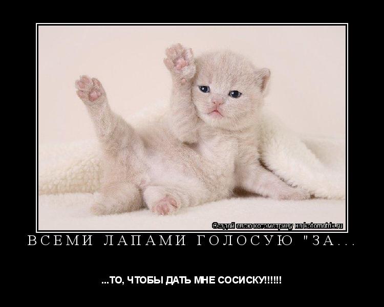 ВСЕМИ ЛАПАМИ ГОЛОСУЮ "ЗА... ...ТО, ЧТОБЫ ДАТЬ МНЕ СОСИСКУ!!!!!!... Котоматрица: ВСЕМИ ЛАПАМИ ГОЛОСУЮ "ЗА... ...ТО, ЧТОБЫ ДАТЬ МНЕ СОСИСКУ!!!!!!