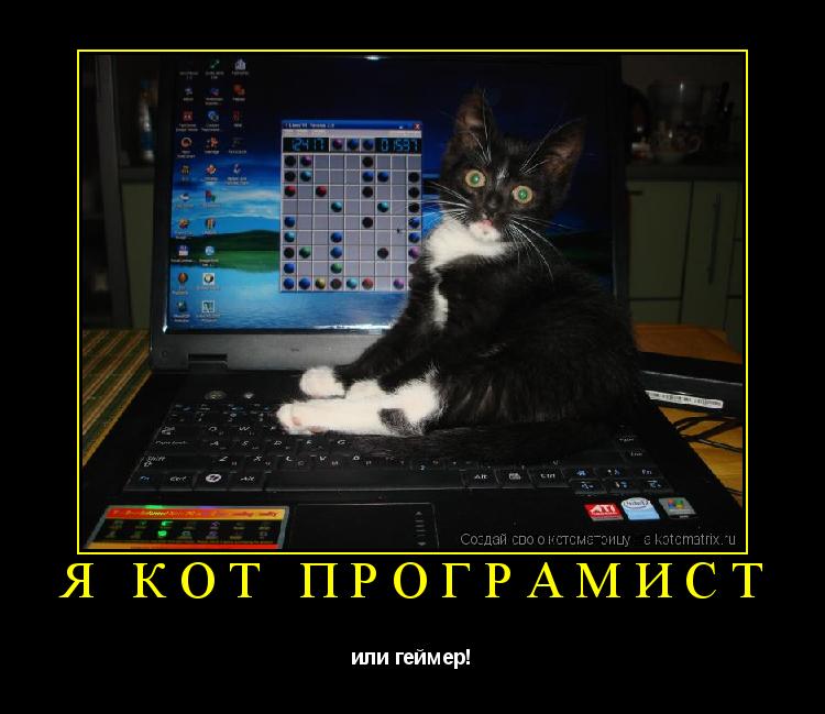 Я КОТ ПРОГРАМИСТ или геймер!... Котоматрица: Я КОТ ПРОГРАМИСТ или геймер!