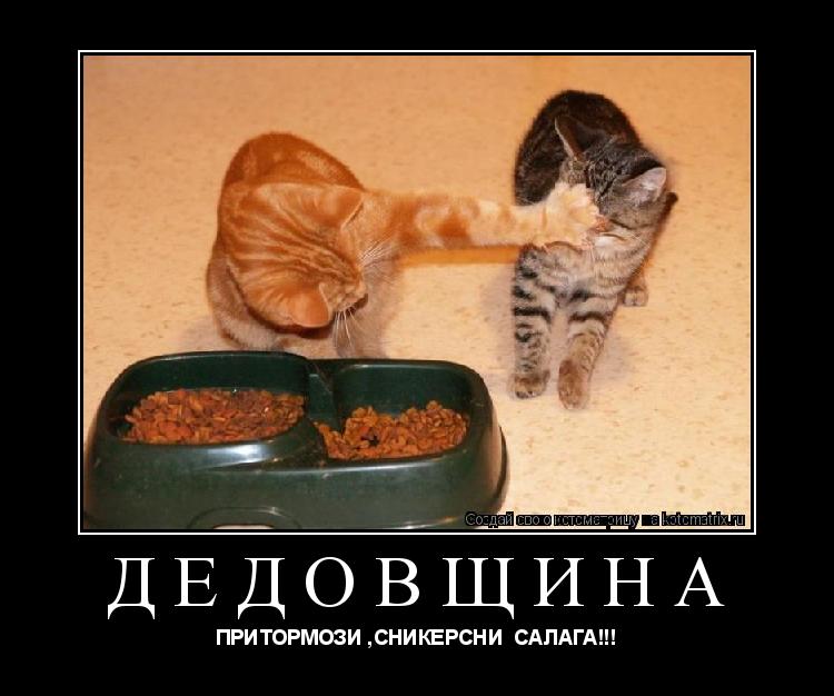 ДЕДОВЩИНА ПРИТОРМОЗИ ,СНИКЕРСНИ САЛАГА!!!... Котоматрица: ДЕДОВЩИНА ПРИТОРМОЗИ ,СНИКЕРСНИ САЛАГА!!!