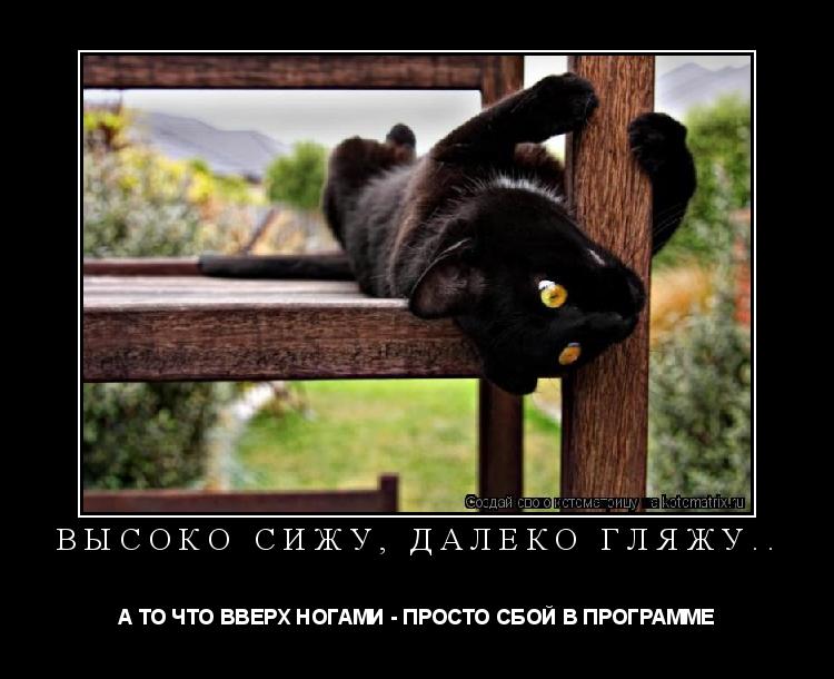 ВЫСОКО СИЖУ, ДАЛЕКО ГЛЯЖУ.. А ТО ЧТО ВВЕРХ НОГАМИ - ПРОСТО СБОЙ В ПРОГРАММЕ... Котоматрица: ВЫСОКО СИЖУ, ДАЛЕКО ГЛЯЖУ.. А ТО ЧТО ВВЕРХ НОГАМИ - ПРОСТО СБОЙ В ПРОГРАММЕ