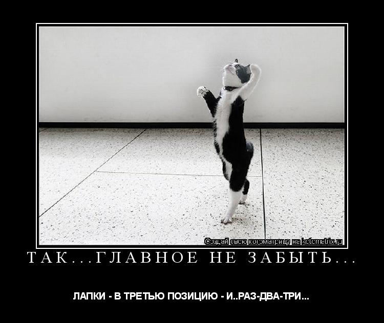 ТАК...ГЛАВНОЕ НЕ ЗАБЫТЬ... ЛАПКИ - В ТРЕТЬЮ ПОЗИЦИЮ - И..РАЗ-ДВА-ТРИ...... Котоматрица: ТАК...ГЛАВНОЕ НЕ ЗАБЫТЬ... ЛАПКИ - В ТРЕТЬЮ ПОЗИЦИЮ - И..РАЗ-ДВА-ТРИ...