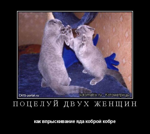 поцелуй двух женщин как впрыскивание яда коброй кобре... Котоматрица: поцелуй двух женщин как впрыскивание яда коброй кобре