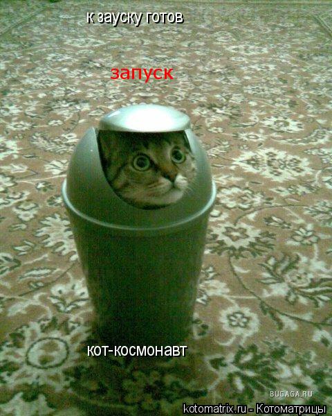 запуск кот-космонавт к зауску готов... Котоматрица: запуск кот-космонавт к зауску готов